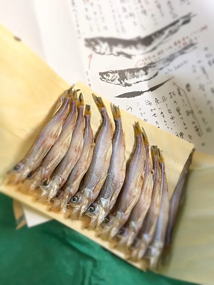 北海道鵡川のシシャモが届きました(^-^)/|ギムレットさん