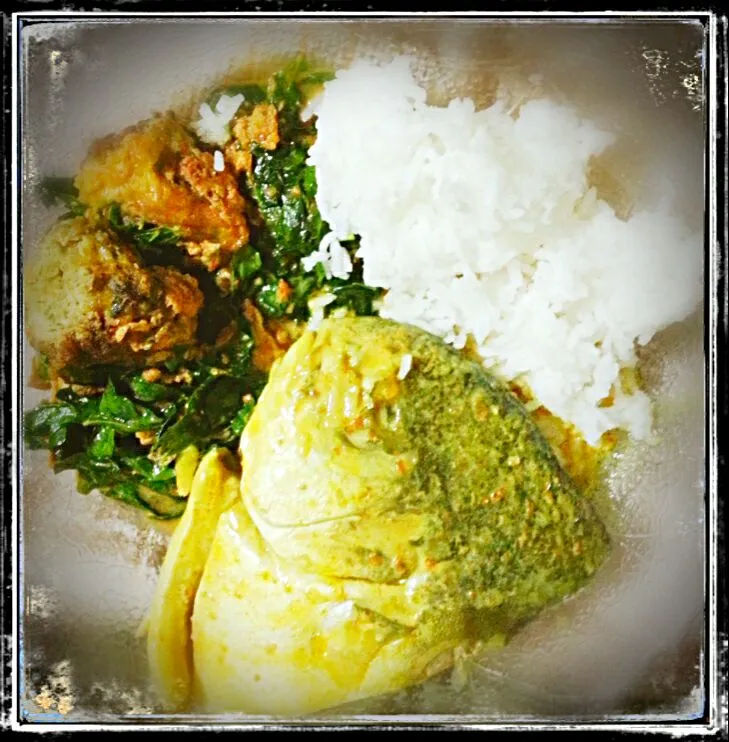 fish + vege + plain rice|Mehrunesaさん