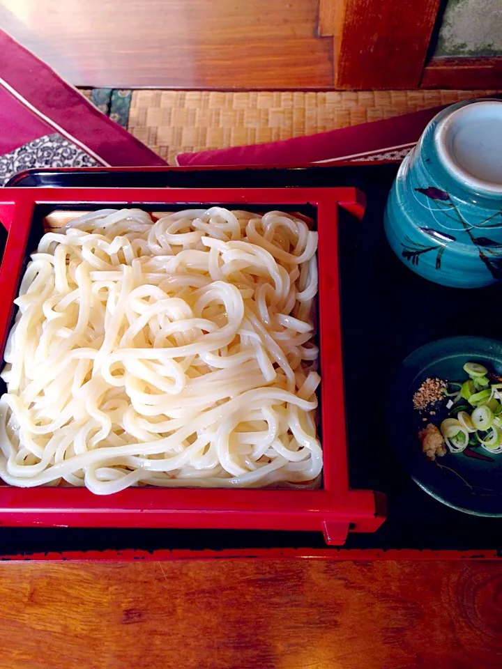 Snapdishの料理写真:ザルうどん@そば処 砂場(浦和美園)|みっさんさん