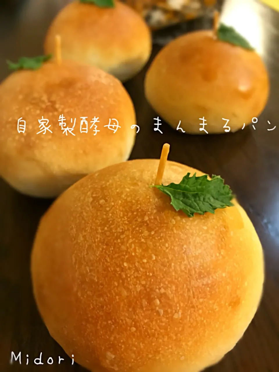 ふんわり❤️自家製酵母のまんまるパン|みどりさん