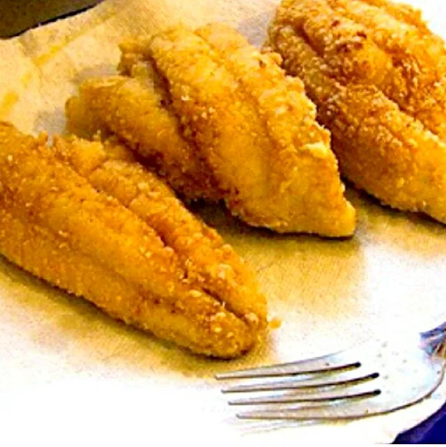 Snapdishの料理写真:I Just Cooked My Favorite Southern Fried Catfish 🌊 💟 🌊 #Seafood #Fish #Lunch #Main dish 😊 💜|Alisha GodsglamGirl Matthewsさん