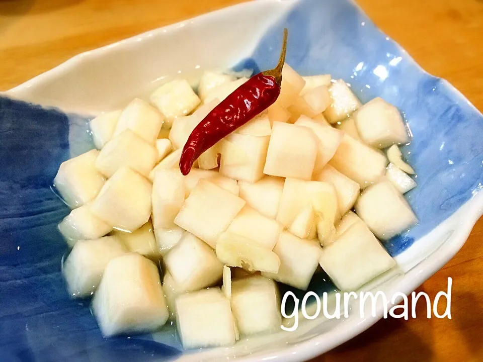 聖護院蕪で 水キムチ🇰🇷|プーティさん