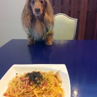 Snapdishの料理写真:キノコと厚切りベーコンのバター醤油パスタ