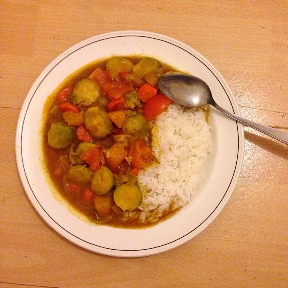 Arranged last one to Tomato Curry; Tomatoes, Brussel sprouts, Onions, Carrots, White rice, tomato ketchup, soy sauce, curry powder, gluten-free plain flour|Meeさん