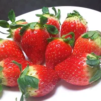 Snapdishの料理写真:strawberry♡|원고은さん