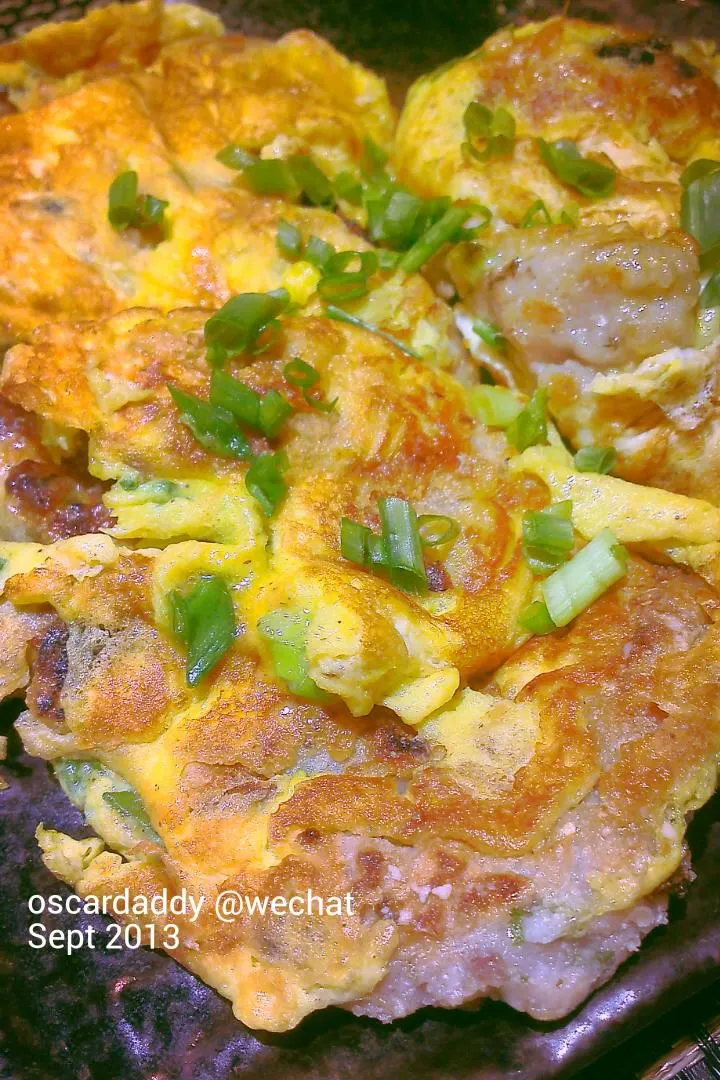 Snapdishの料理写真:Dace fish paste omelette
【鯪魚滑煎蛋】|Gavin Wong (香港の人々)さん