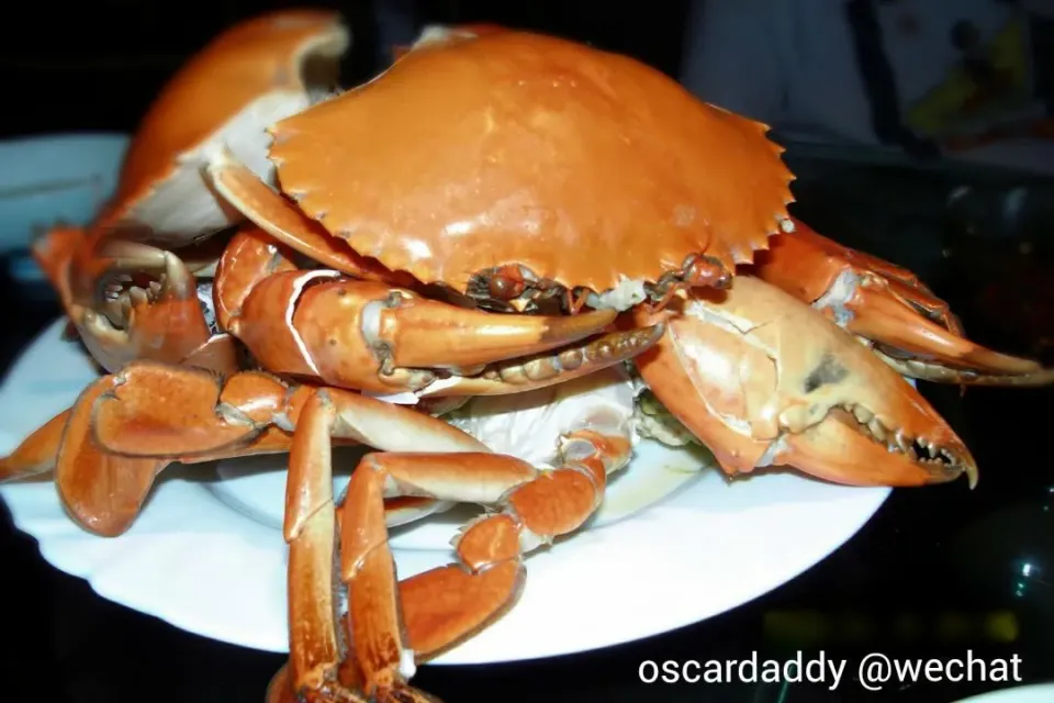 Snapdishの料理写真:Steamed blue crab【清蒸青蟹】|Gavin Wong (香港の人々)さん