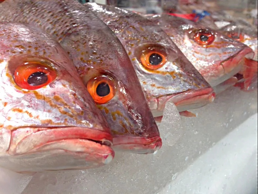 In Baton Rouge Louisiana Shopping For Redfish to Cook for a Supper With Foodie Friends at Whole Foods Market #Seafood #Party #Main dish #New Year ❤ 😆 ❤|Alisha GodsglamGirl Matthewsさん