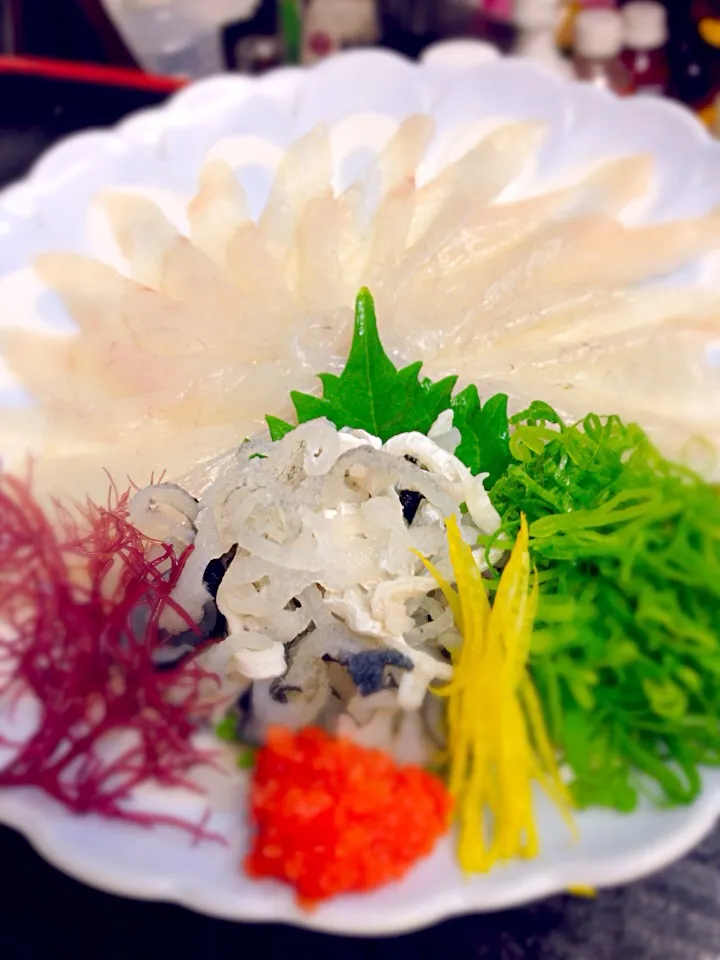 Snapdishの料理写真:とらふぐ刺身 ( Fugu Sashimi )|チェリーリンさん