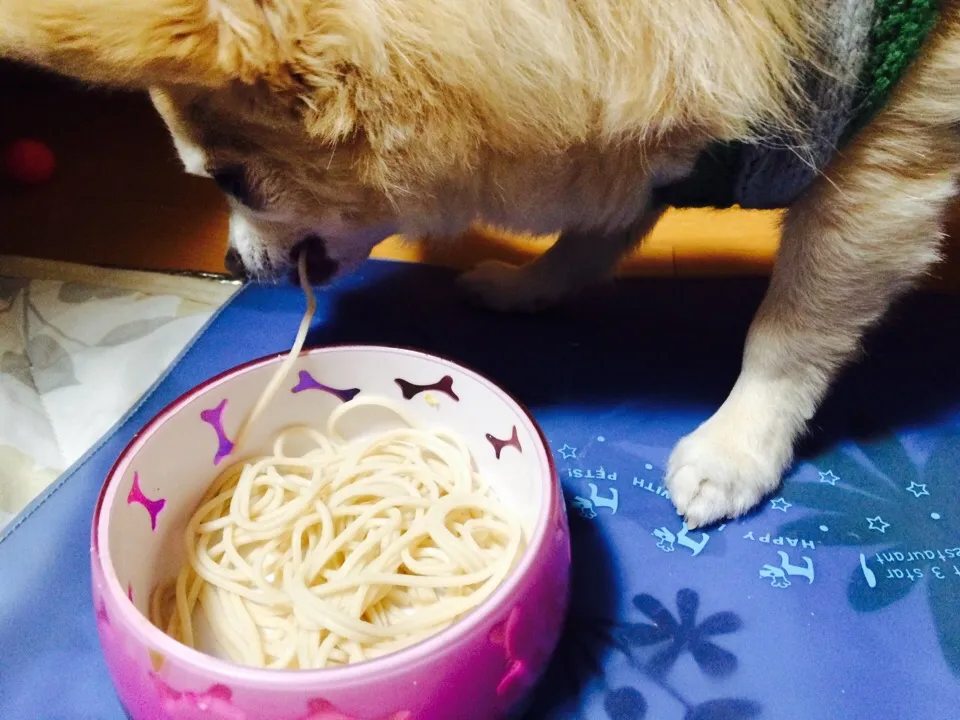 鰹の出汁だけついたお蕎麦。一本ずつ食べてま〜す！|naomiさん