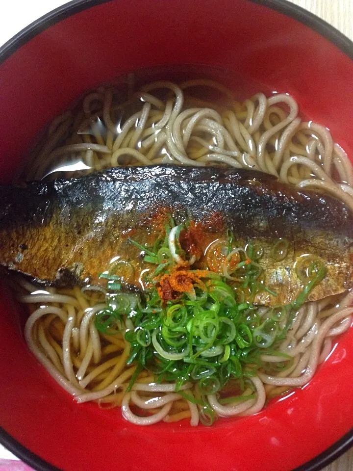 Snapdishの料理写真:年越蕎麦|伍龍やすさん