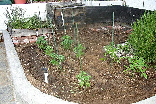 GARDEN at Family Cabin #New Year #Holidays/Celebrations #Vegetable #Healthy|Alisha GodsglamGirl Matthewsさん