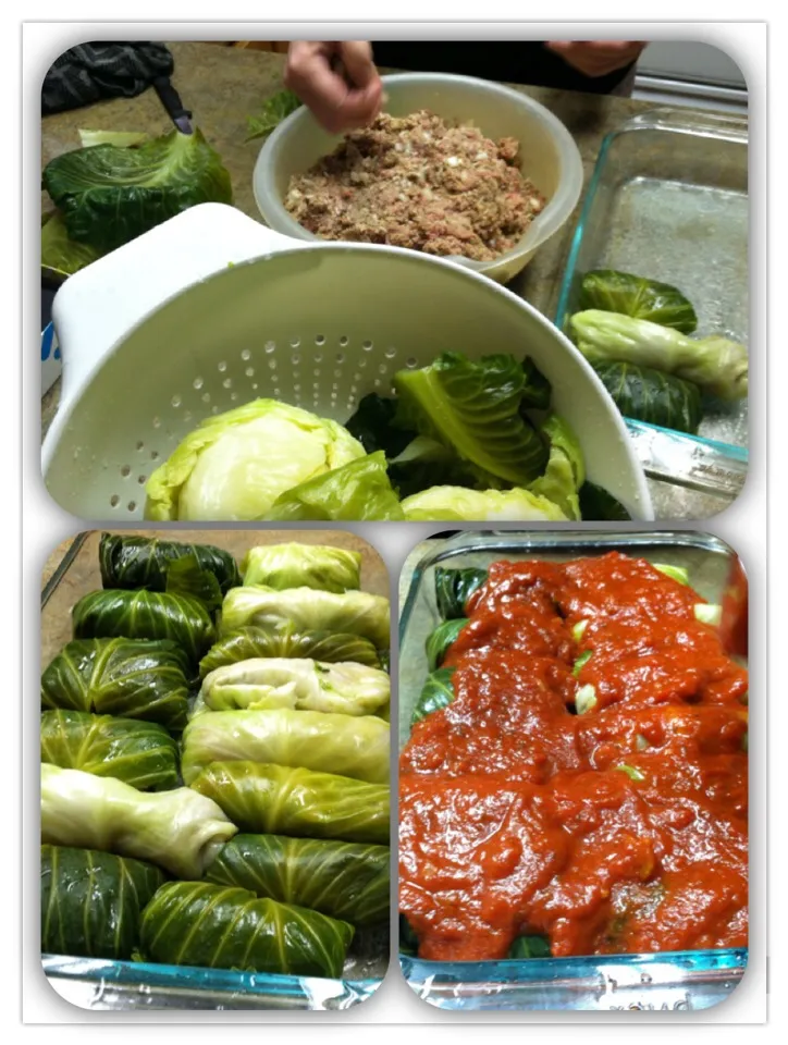 Stuffed Cabbage Rolls|robb revereさん