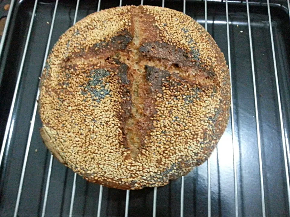 100% Wholewheat Sourdough with Sesame & Blue Seeds #sourdough #wholewheat #homebaked #naturalleaven #levain #artisan|Jasmine Ngさん