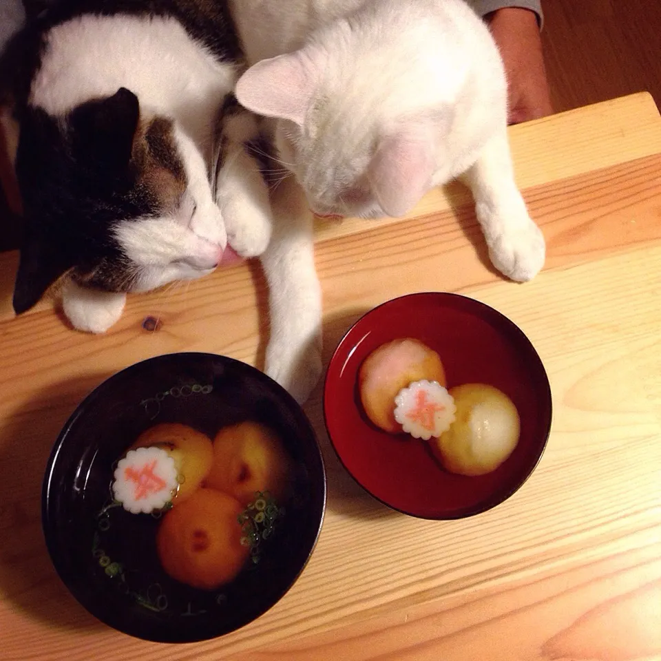 お雑煮。石川はダシに丸餅でシンプル。|naouさん