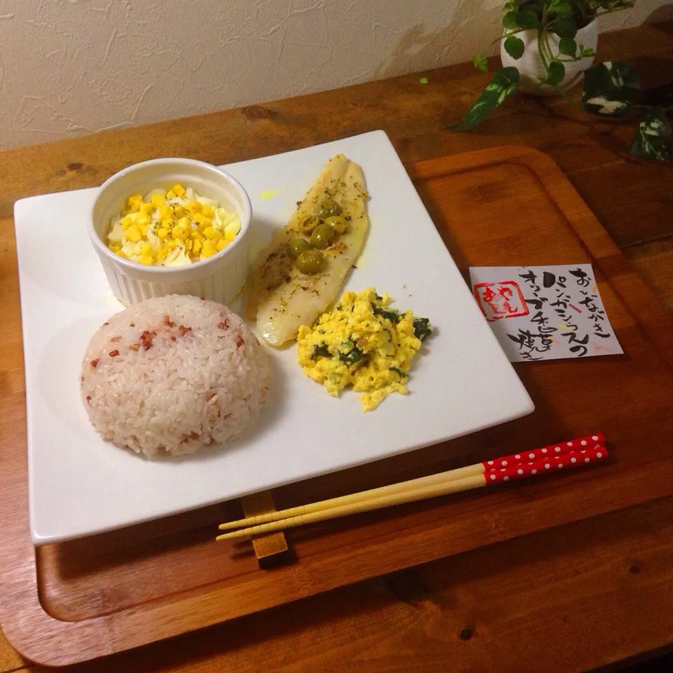 パンガシウス|宮原礼智さん