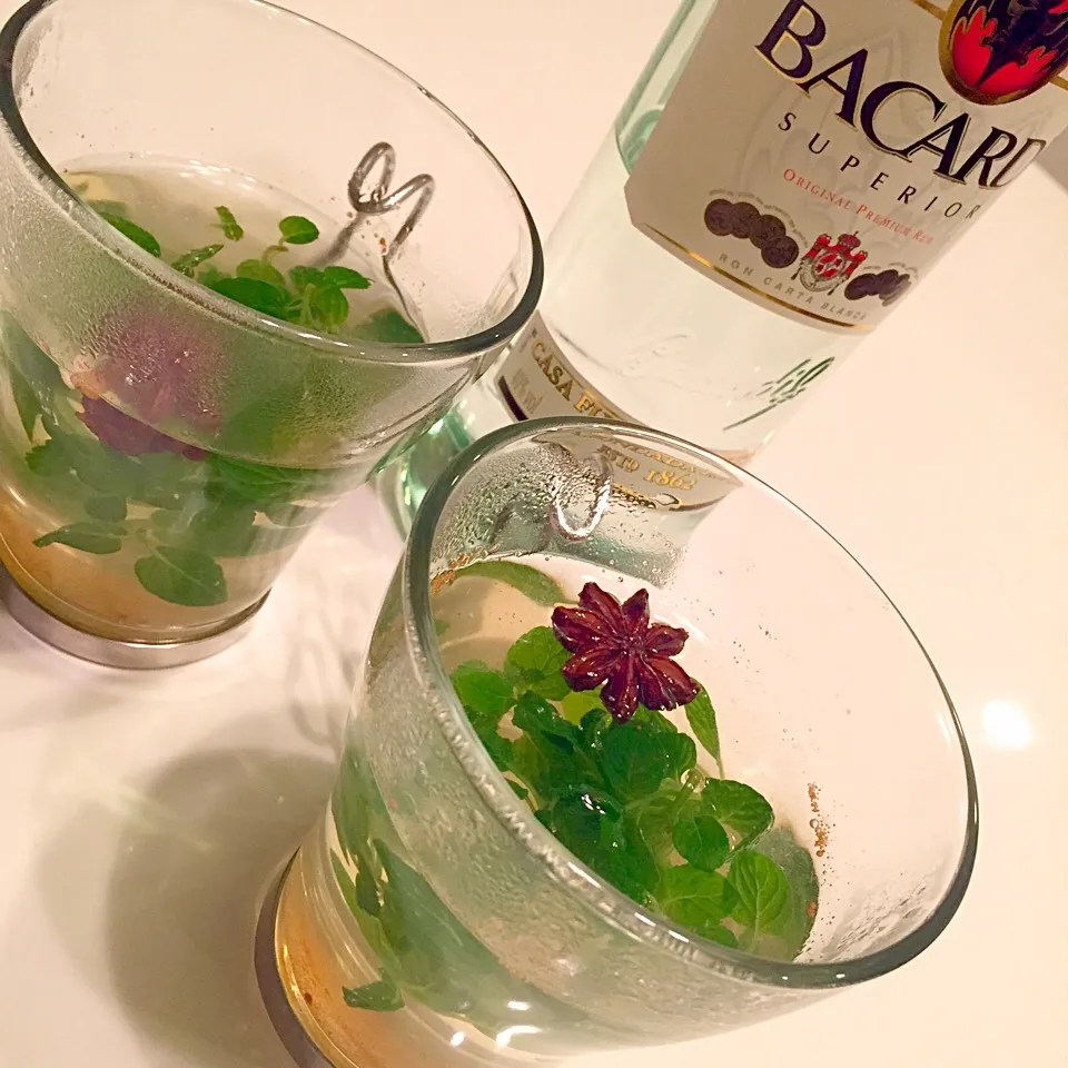 Spiced hot Ｍojito|Hironobuさん