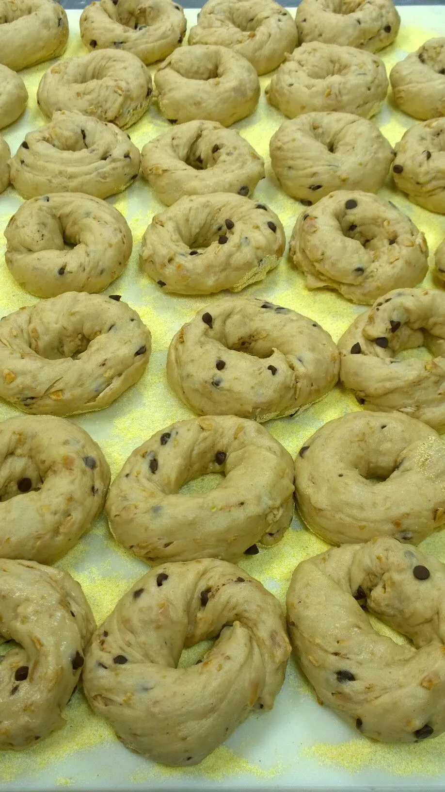 "Canolli" Bagels About To Be Baked Fresh For You!!! , Goes Best With Our "Canolli" Cream Cheese, Course!!
This Is A Party !!

Scot Rossillo "Worlds Premier Bage|Scot Rossilloさん