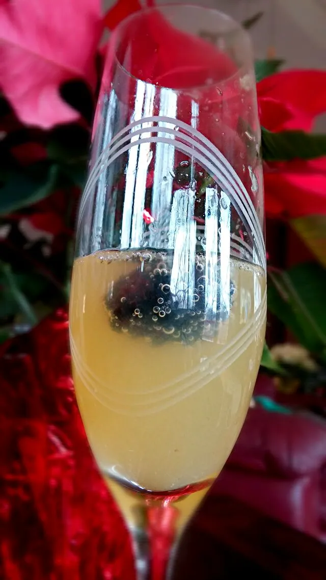 Mimosa with blackberry|Jiraphon Gさん