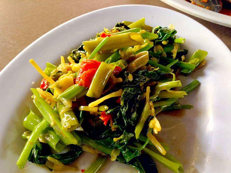 Kangkung Sayur Paku|Bambang Budiono Tjioさん