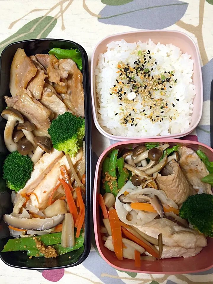 Snapdishの料理写真:今日のお弁当|chiinaさん