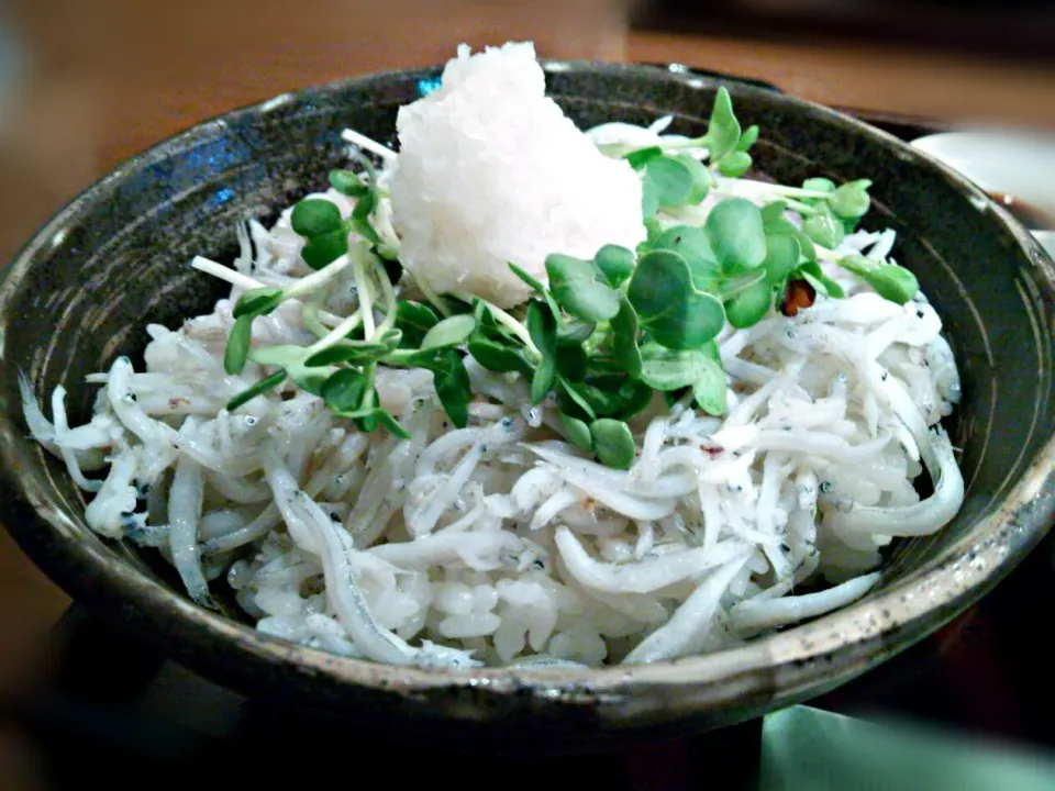 本日のランチは、しらすおろし丼で御座いますわ🍚昨夜の闇カレー🍛が効いたのか、あまりお腹が空いてなかったので、あっさりした物に逃避してしまいましたわ💦いけませんねぇ…ホップ・ステップ・玉砕精神が弛んでおりますわ🙇|にゃあ（芸名）さん