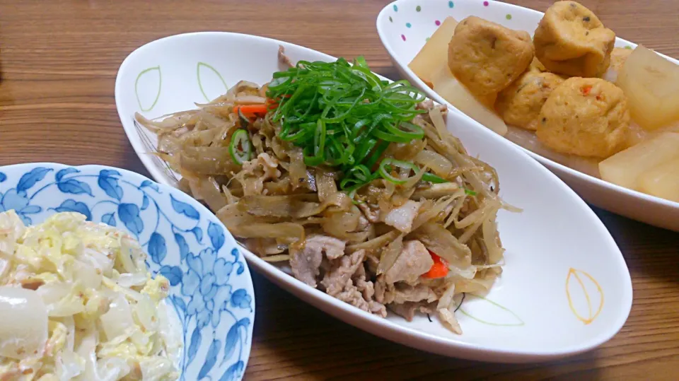 ・ごぼうと豚肉の炒めもの
・大根とがんもどきの煮物
・白菜サラダ|ようかんさん