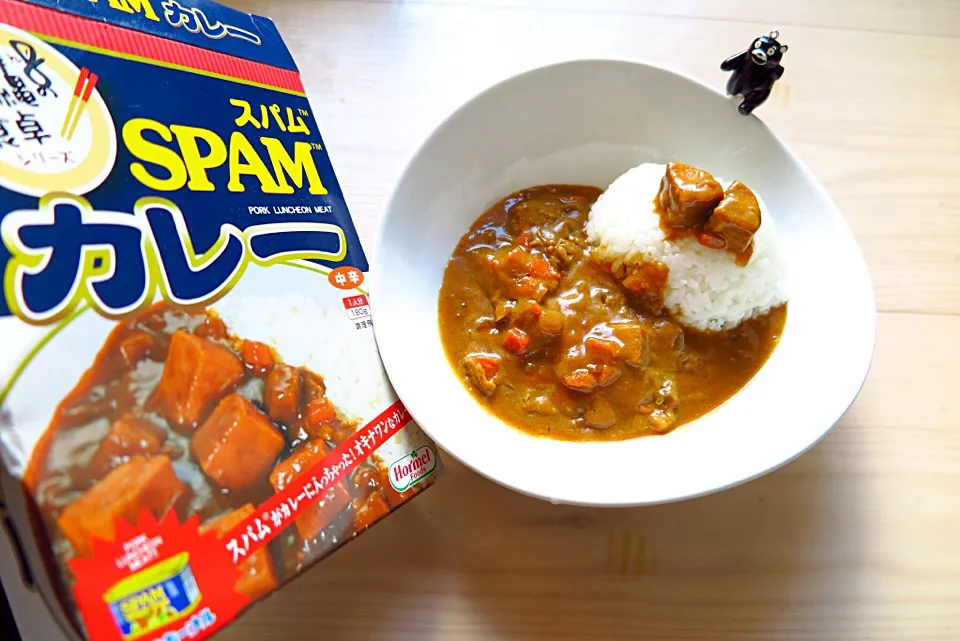 カレー部合宿でいただいたSPAMカレー中辛|大阪カレー部長さん