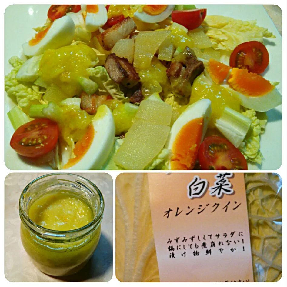 Snapdishの料理写真:新食材～オレンジ白菜を使ったサラダ(^^ゞ
お正月の残り物、ローストポークや数の子、茹で卵などトッピング、自家製柚子ドレッシングで＼(^^)／|quitaさん