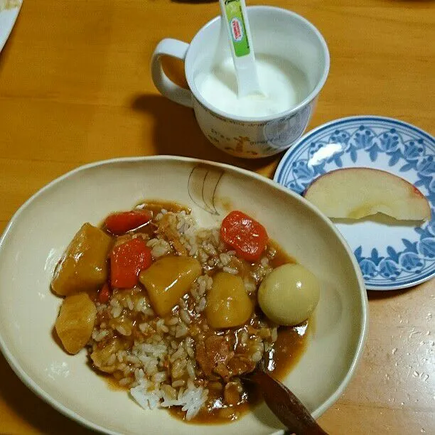 ぼっちゃんの朝食☕😃🌄
朝カレー🍛|ふみぃさん