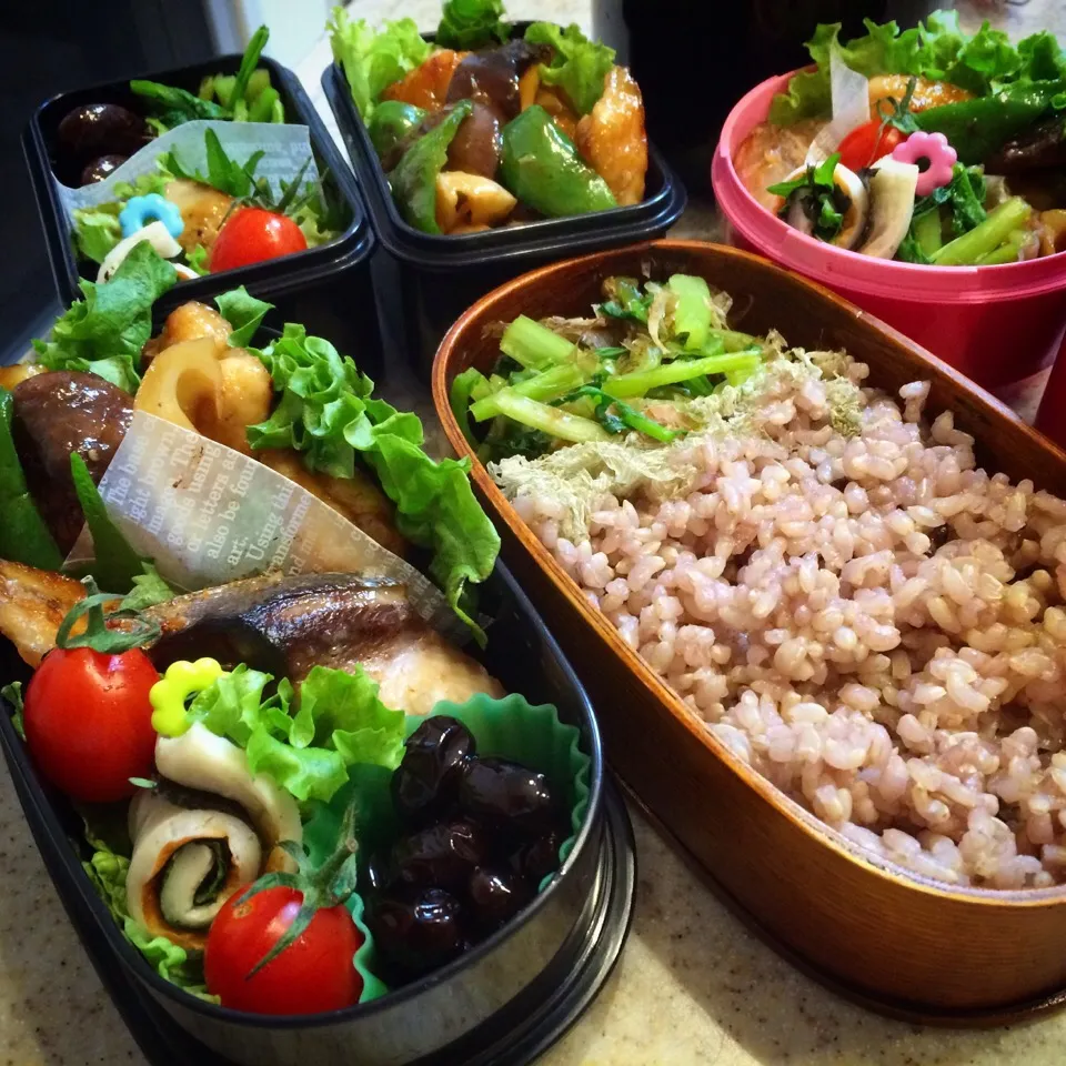 1/9 今日のお弁当|naoさん