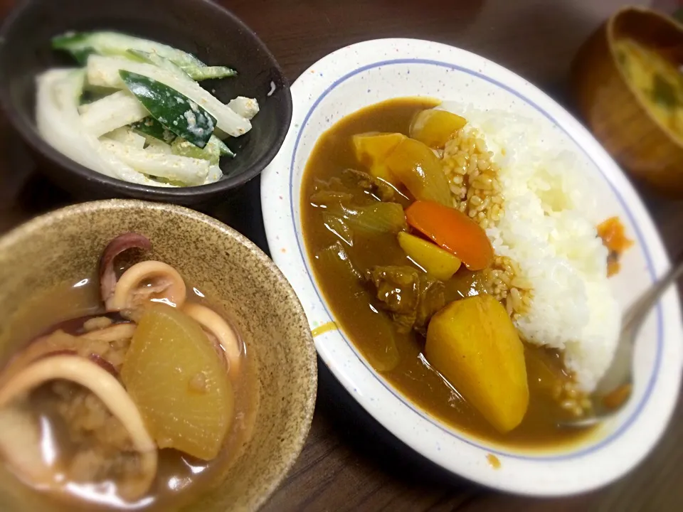 牛スジカレー 大根とスルメイカの煮物、サラダ|きむらゆりかさん