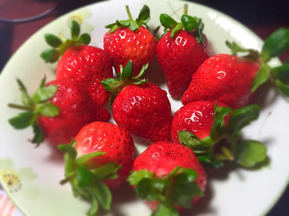 Strawberry season is coming soon!|jaszminnyさん