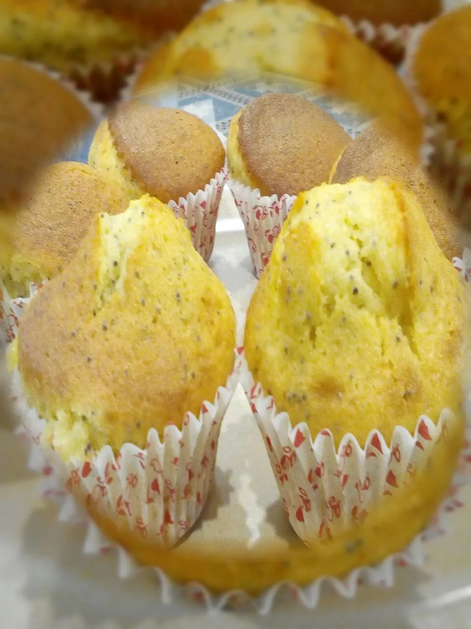 Poppy Seed Orange Muffin|Homemade dishさん