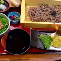 Snapdishの料理写真:天せいろネギトロ定食