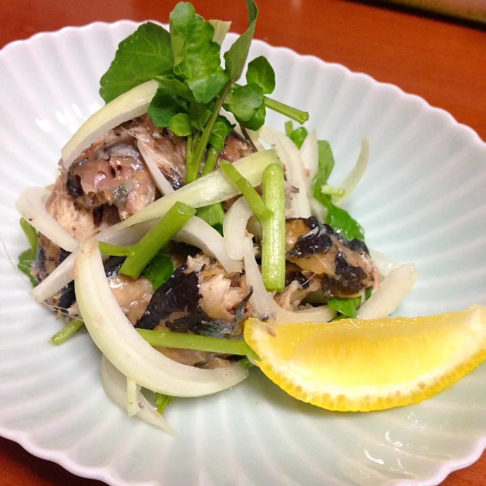 秋刀魚塩焼きと玉ねぎクレソンのサラダ|慎ちゃまさん