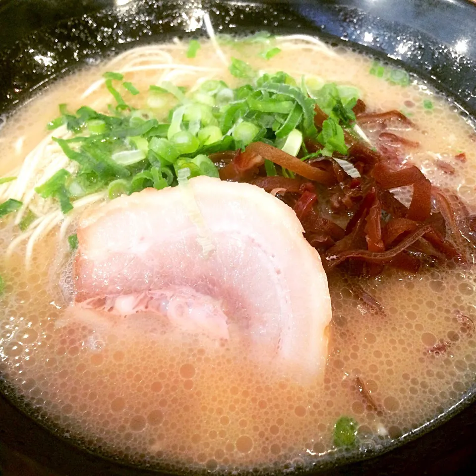 Tonkotsu Ramen|Masakiさん