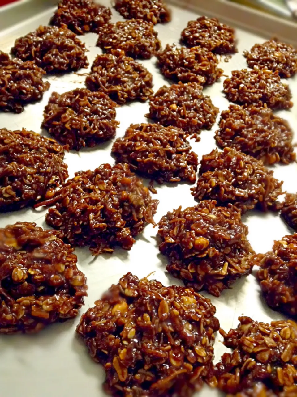 No BaKe OatMeaL CoOkiEs|GeMzKiTchさん