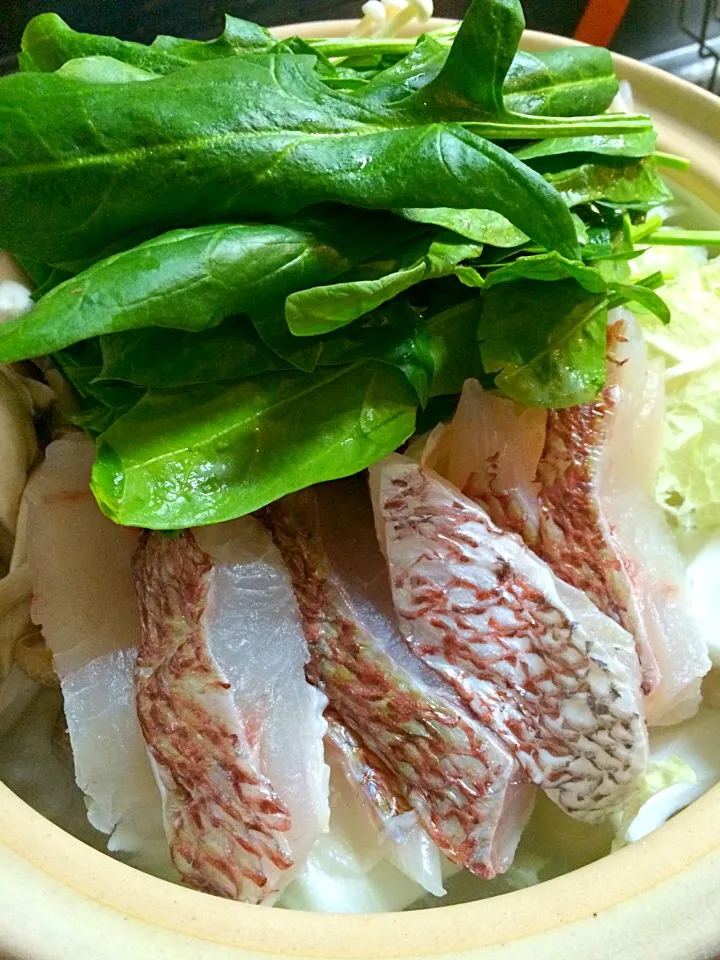 Sea bream hotpot... Tai  nabe|Nigel Nakadaさん