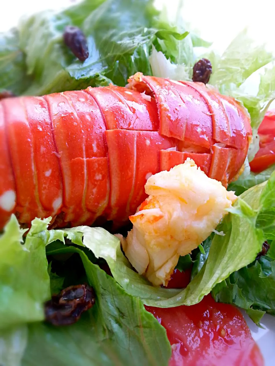 lobster in garlic and butter with lettuce,tomato and raisins|Alicia Kimaliさん