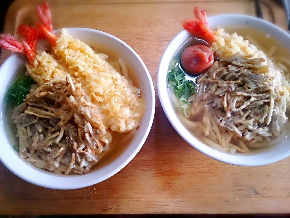 年明けうどん。
あ、少し、タイミング的には遅いかしら？（笑）|tera*chanさん