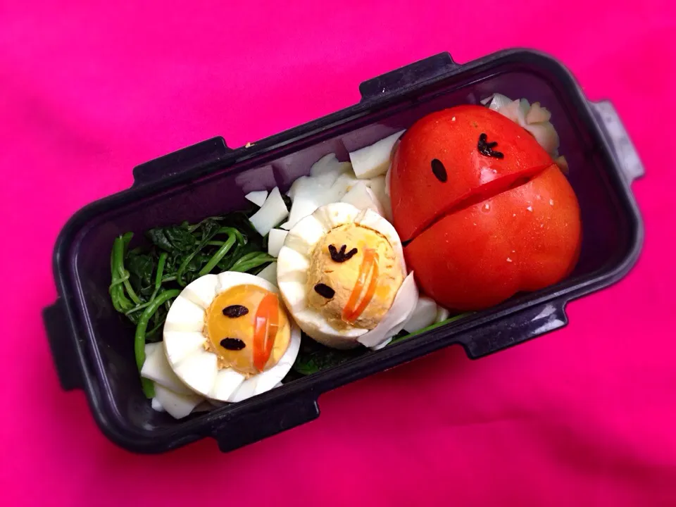 Bento For Diet|Uma Rukmaさん