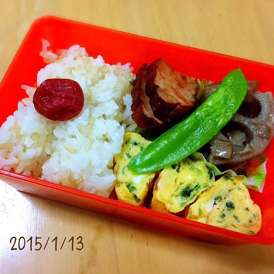 お弁当 2015/01/13|たまこっこさん