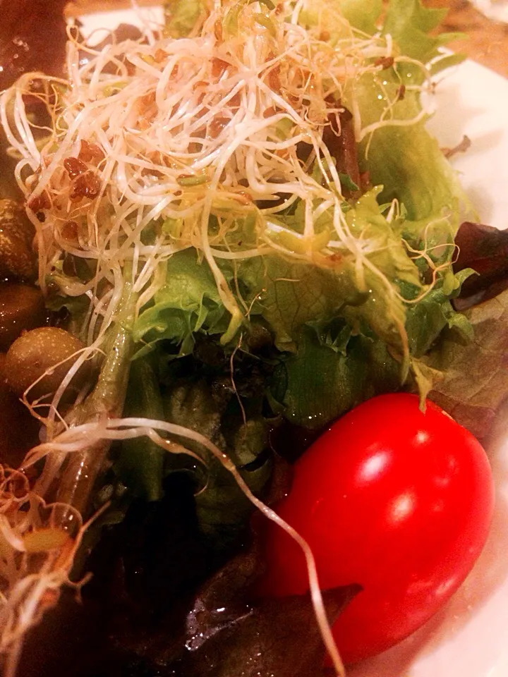 Salad with alfalfa sprouts|Peter Simonさん