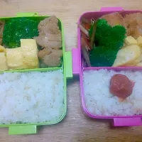 鶏唐揚げ弁当
玉子焼き以外は作り置きおかず。|tera*chanさん