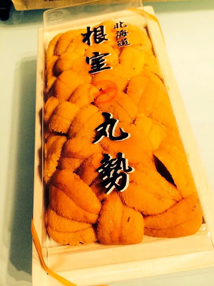 Sea urchin!! UNi....present!! Wow!!|Nigel Nakadaさん