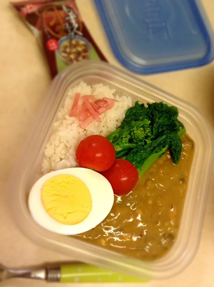 Today's lunch box. curry rice.JKは今週末のセンター試験追い込み、家でこもり勉強。|hoppycowさん