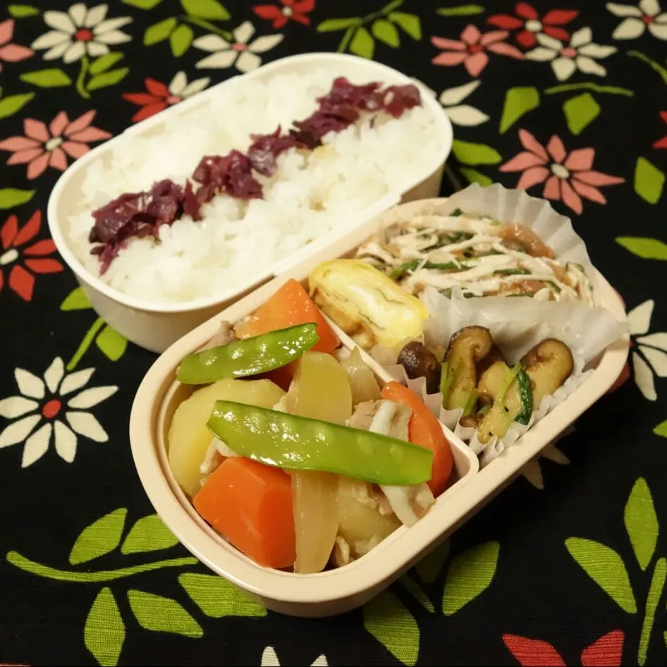 Snapdishの料理写真:肉じゃが弁当。|misiitaさん