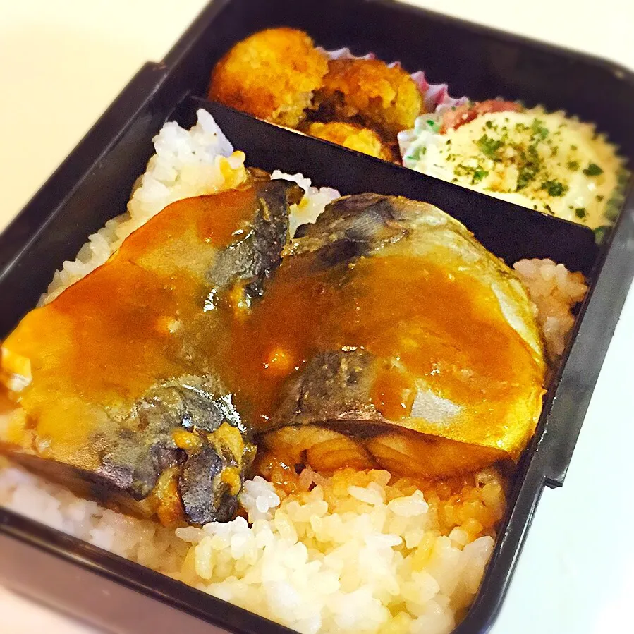 Snapdishの料理写真:鯖の味噌煮べんと|OGIPAINさん