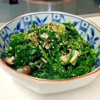 Snapdishの料理写真:Spinach Namul / ほうれん草のナムル ニンニク風味|momocoさん